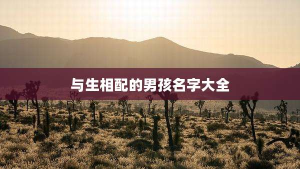与生相配的男孩名字大全