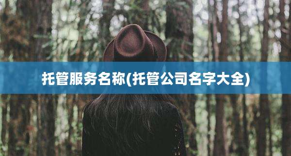 托管服务名称(托管公司名字大全)