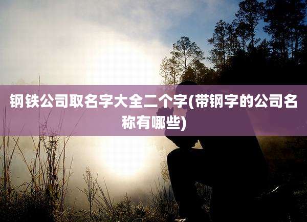 钢铁公司取名字大全二个字(带钢字的公司名称有哪些)