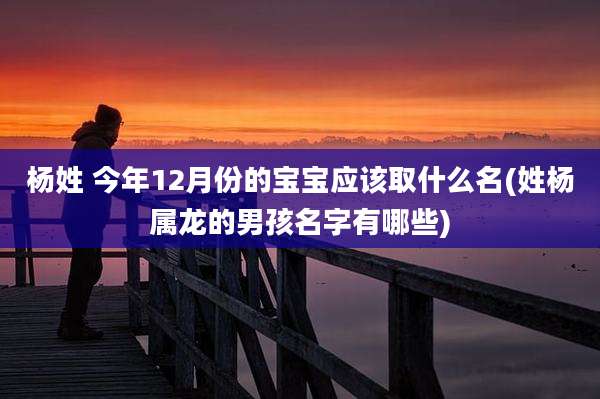 杨姓 今年12月份的宝宝应该取什么名(姓杨属龙的男孩名字有哪些)