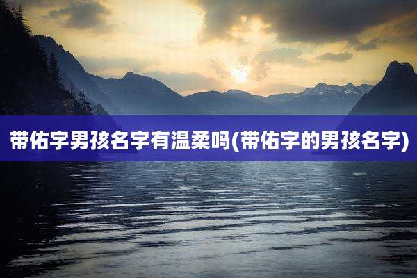 带佑字男孩名字有温柔吗(带佑字的男孩名字)