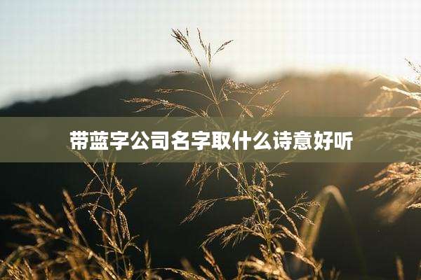 带蓝字公司名字取什么诗意好听