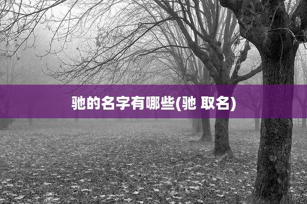 驰的名字有哪些(驰 取名)