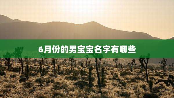 6月份的男宝宝名字有哪些