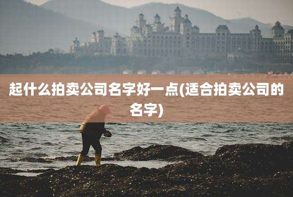 起什么拍卖公司名字好一点(适合拍卖公司的名字)