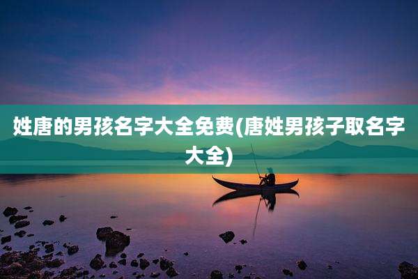 姓唐的男孩名字大全免费(唐姓男孩子取名字大全)