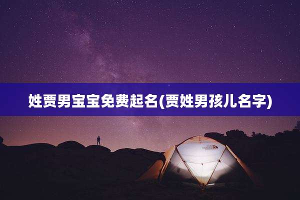 姓贾男宝宝免费起名(贾姓男孩儿名字)