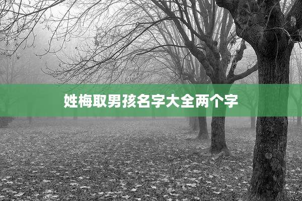 姓梅取男孩名字大全两个字