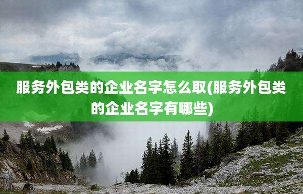 服务外包类的企业名字怎么取(服务外包类的企业名字有哪些)
