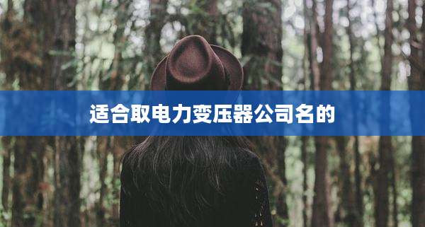 适合取电力变压器公司名的