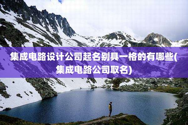 集成电路设计公司起名别具一格的有哪些(集成电路公司取名)