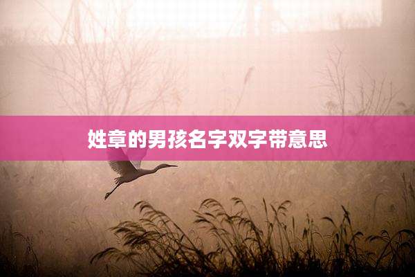 姓章的男孩名字双字带意思
