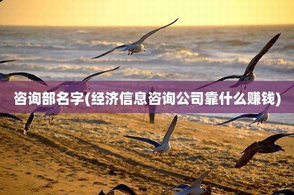 咨询部名字(经济信息咨询公司靠什么赚钱)