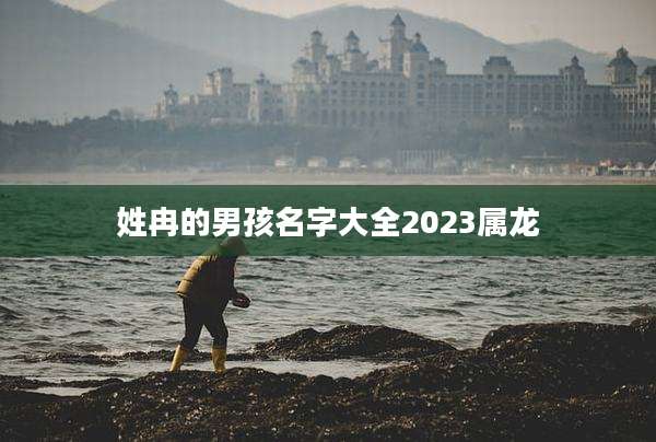 姓冉的男孩名字大全2023属龙