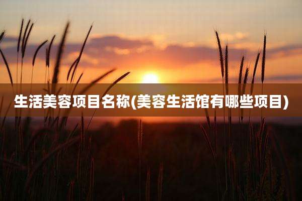 生活美容项目名称(美容生活馆有哪些项目)