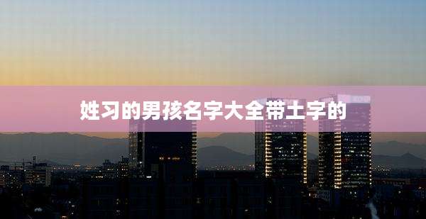 姓习的男孩名字大全带土字的