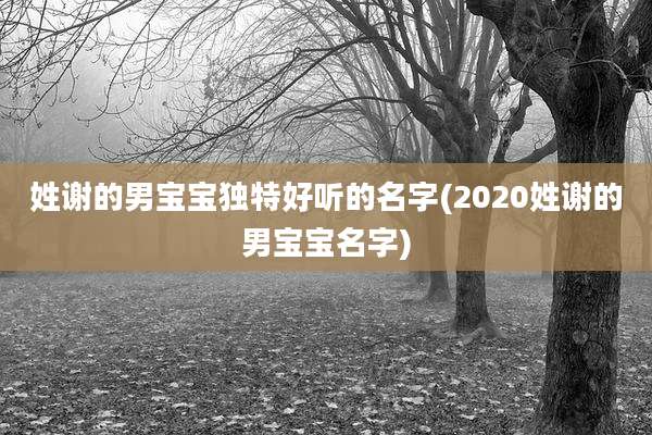 姓谢的男宝宝独特好听的名字(2020姓谢的男宝宝名字)