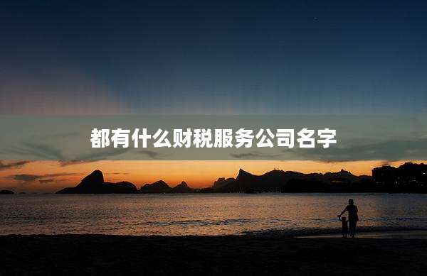 都有什么财税服务公司名字
