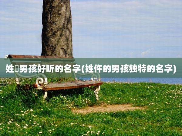 姓禤男孩好听的名字(姓仵的男孩独特的名字)