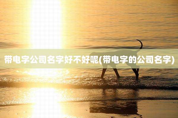 带电字公司名字好不好呢(带电字的公司名字)