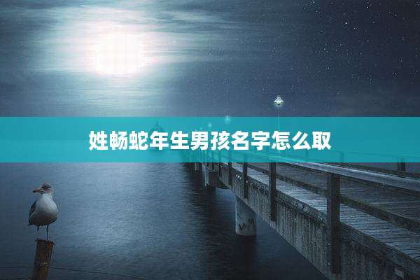 姓畅蛇年生男孩名字怎么取