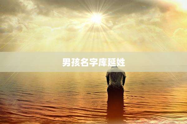 男孩名字库延姓