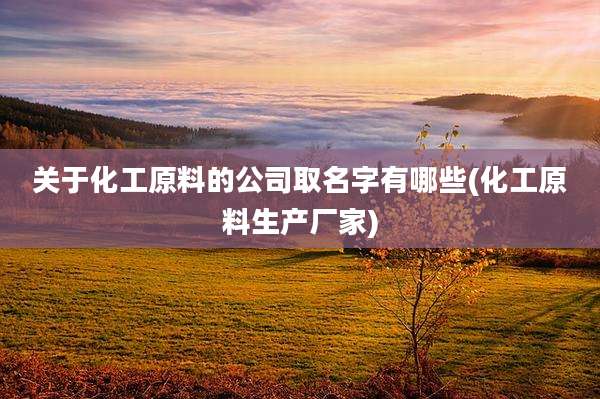 关于化工原料的公司取名字有哪些(化工原料生产厂家)