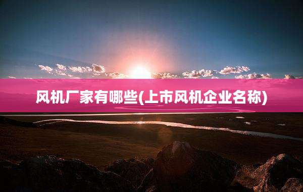 风机厂家有哪些(上市风机企业名称)