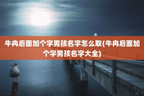 牛冉后面加个字男孩名字怎么取(牛冉后面加个字男孩名字大全)