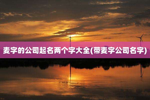 麦字的公司起名两个字大全(带麦字公司名字)