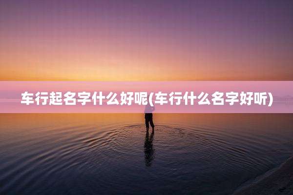 车行起名字什么好呢(车行什么名字好听)