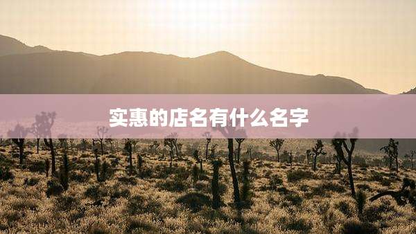 实惠的店名有什么名字