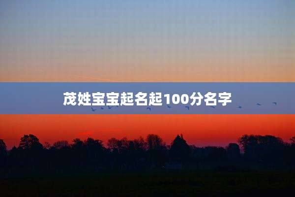 茂姓宝宝起名起100分名字
