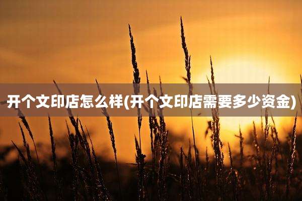 开个文印店怎么样(开个文印店需要多少资金)