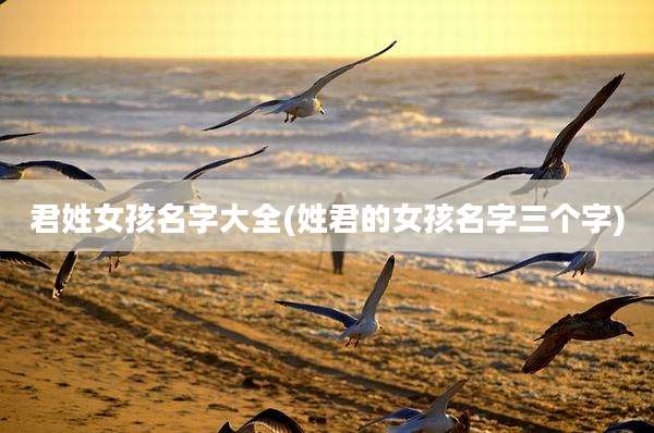君姓女孩名字大全(姓君的女孩名字三个字)