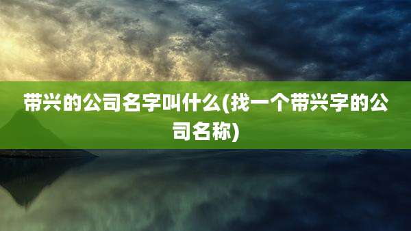 带兴的公司名字叫什么(找一个带兴字的公司名称)