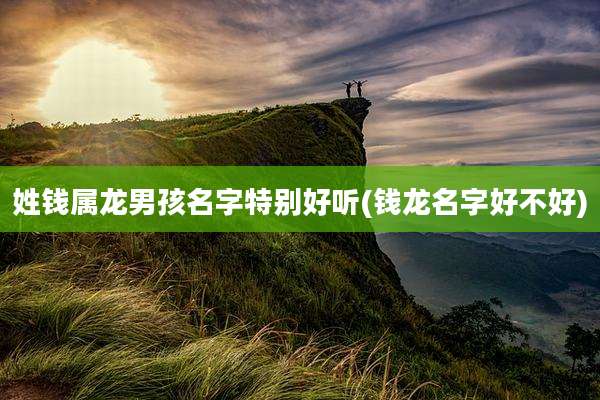 姓钱属龙男孩名字特别好听(钱龙名字好不好)