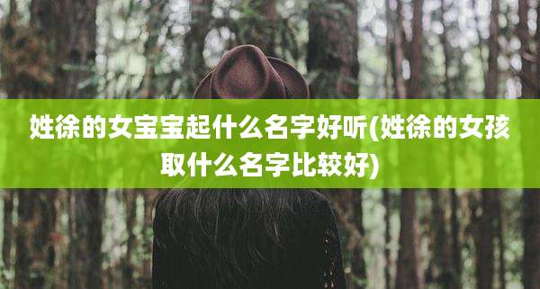 姓徐的女宝宝起什么名字好听(姓徐的女孩取什么名字比较好)