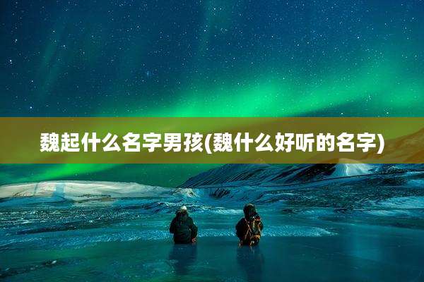 魏起什么名字男孩(魏什么好听的名字)
