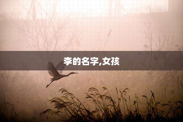 李的名字,女孩
