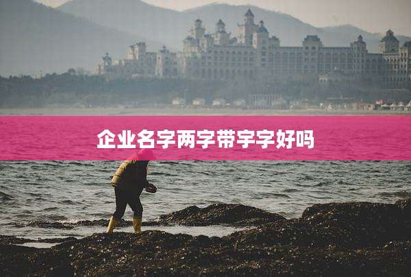 企业名字两字带宇字好吗