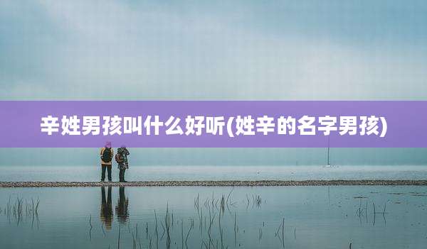 辛姓男孩叫什么好听(姓辛的名字男孩)