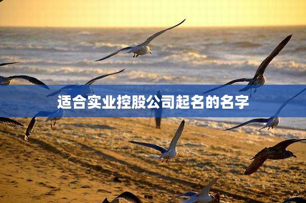 适合实业控股公司起名的名字