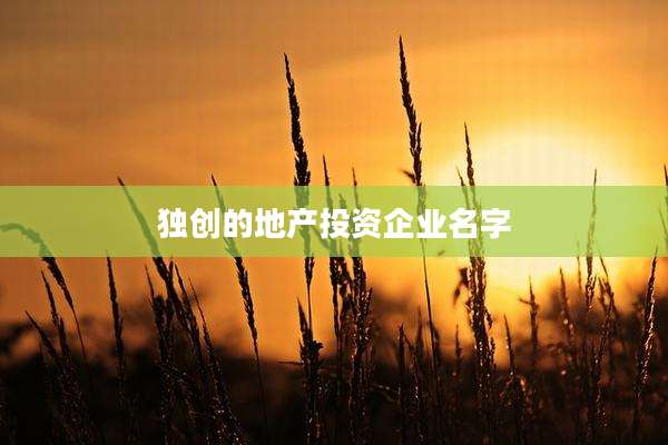 独创的地产投资企业名字