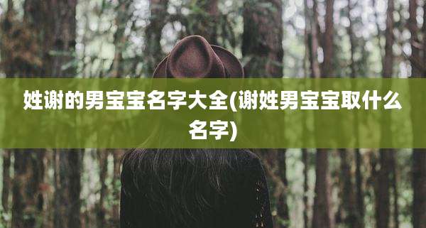 姓谢的男宝宝名字大全(谢姓男宝宝取什么名字)