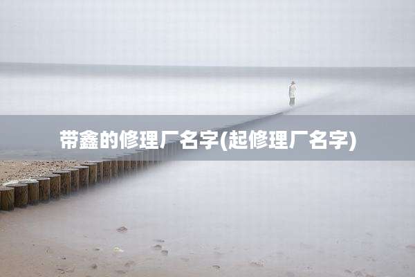 带鑫的修理厂名字(起修理厂名字)