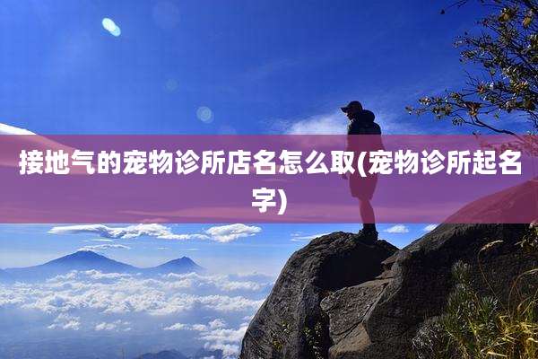 接地气的宠物诊所店名怎么取(宠物诊所起名字)