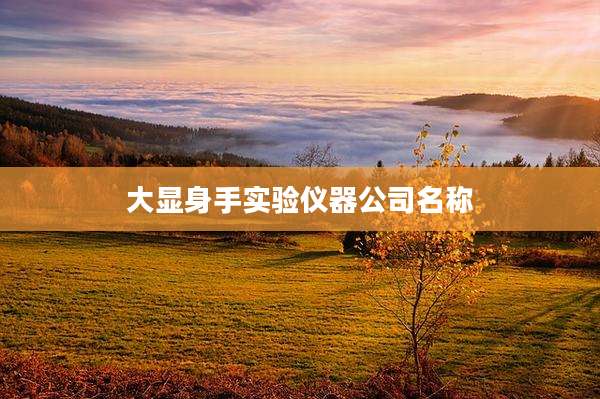 大显身手实验仪器公司名称