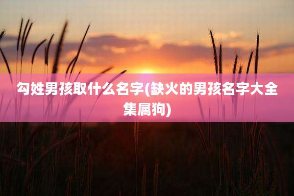 勾姓男孩取什么名字(缺火的男孩名字大全集属狗)