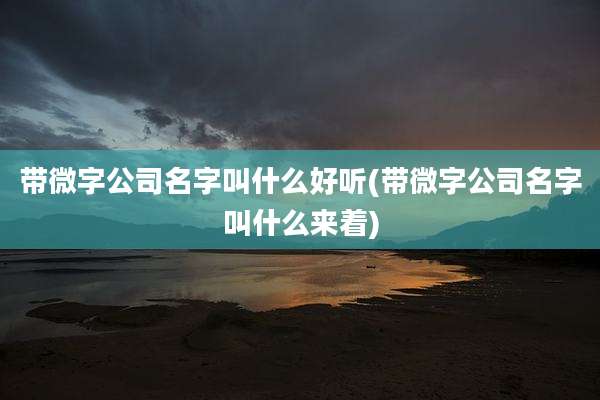带微字公司名字叫什么好听(带微字公司名字叫什么来着)